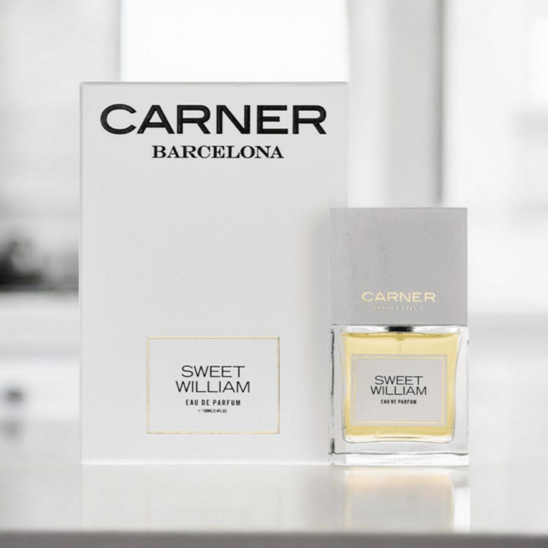Carner Barcelona Sweet William